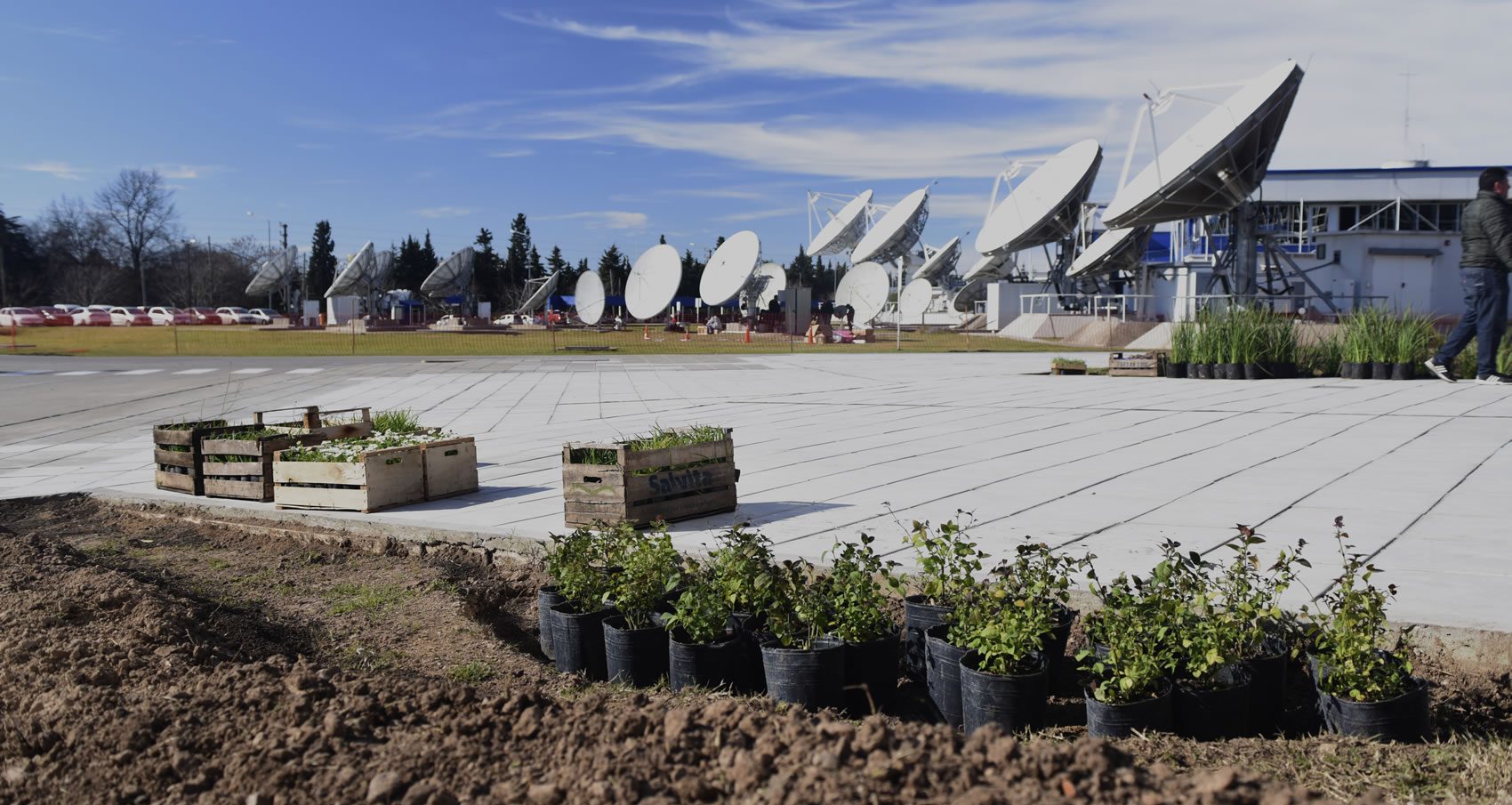 Cajones y macetas con plantas, previo a ser colocadas en un cantero. Al fondo se ven las antenas parabólicas en la Estación Terrena de Benavídez.